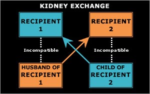 box diagram of kidney exchange of 2 recipients; R1 incompatible with husband but compatible with child of R2 and R2 incompatible with child but compatible with husband of R1