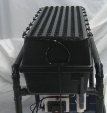 Genesis Aeroponic System